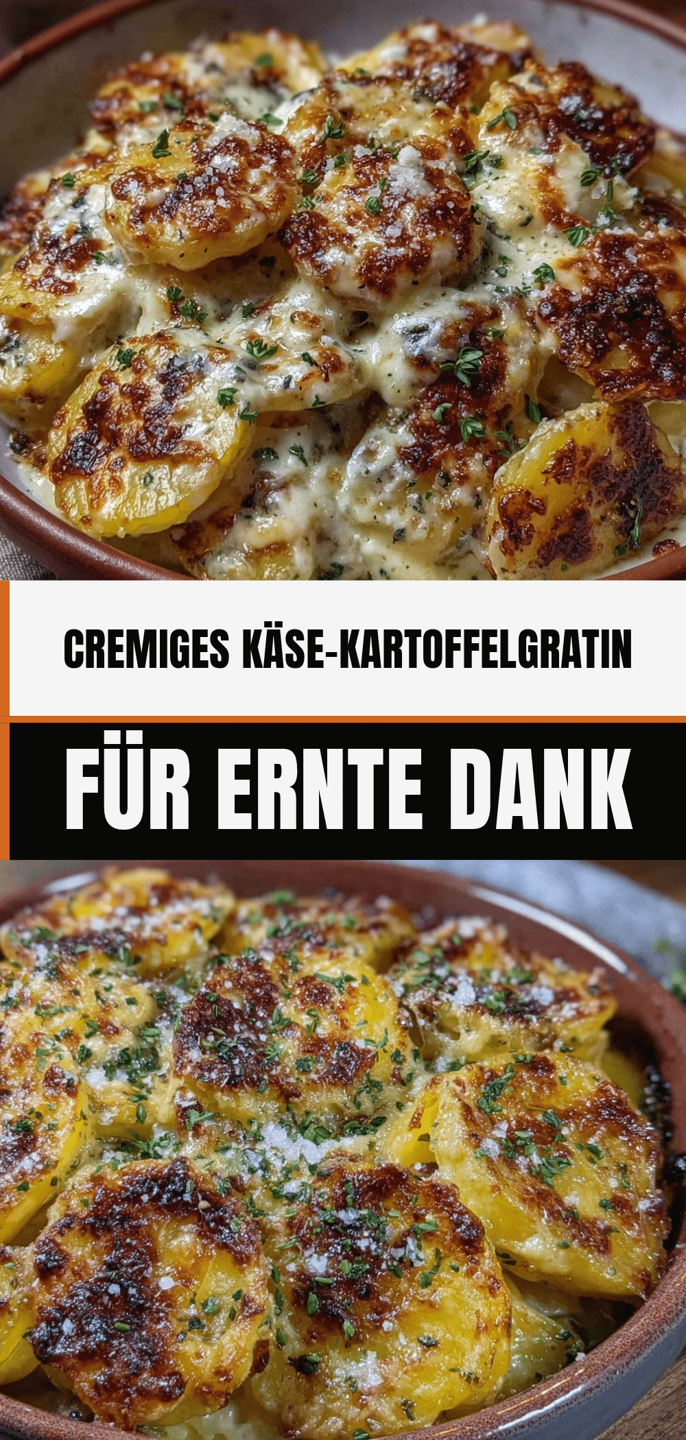 Cremiges Kartoffelgratin mit Käse: Bestes Rezept 5 Cremiges Kartoffelgratin mit Käse recipe