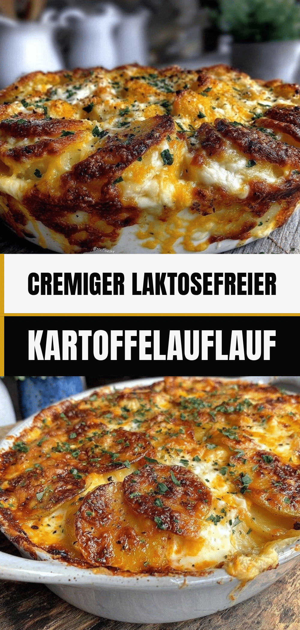 Cremiger Laktosefreier Kartoffelauflauf mit Käse: 10 Min. 5 laktosefreier Kartoffelauflauf recipe